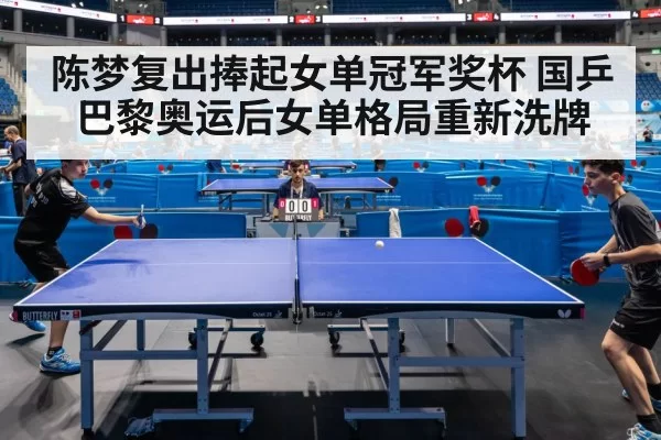 professional table tennis match