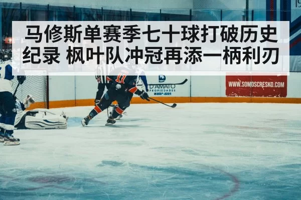 ice hockey match action